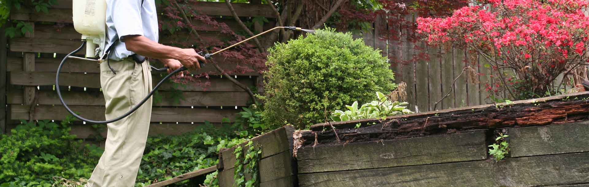 مكافحة الحشرات فى اى مكان