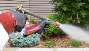 مكافحة الذباب