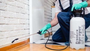 مكافحة البراغيث